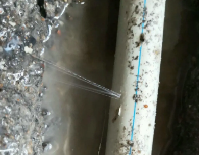 达川测漏水哪家好